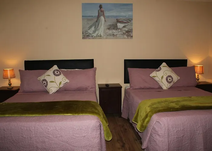 O'learys Bed & Breakfast 4*