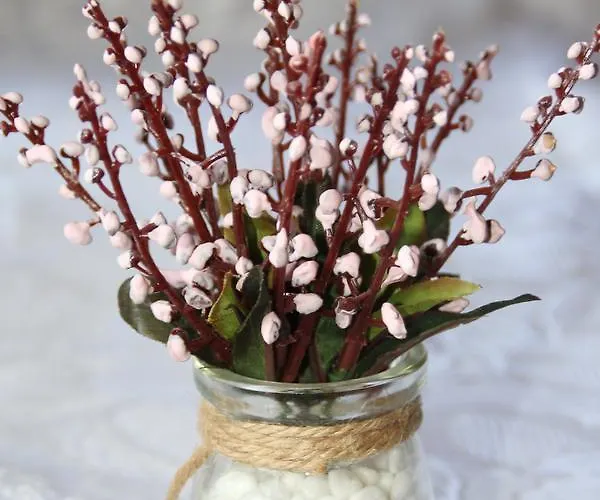 Frühstückspension O'learys 4*